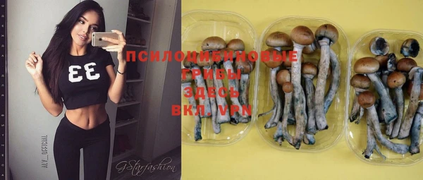 эйфоретик Абинск
