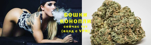 ГАЛЛЮЦИНОГЕННЫЕ ГРИБЫ Грязовец