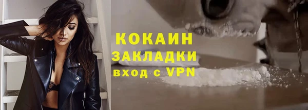 соль ск Абаза