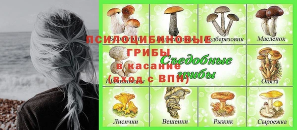 соль курить ск Губаха