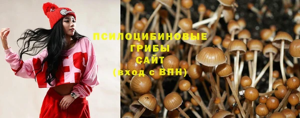 соль ск Абаза