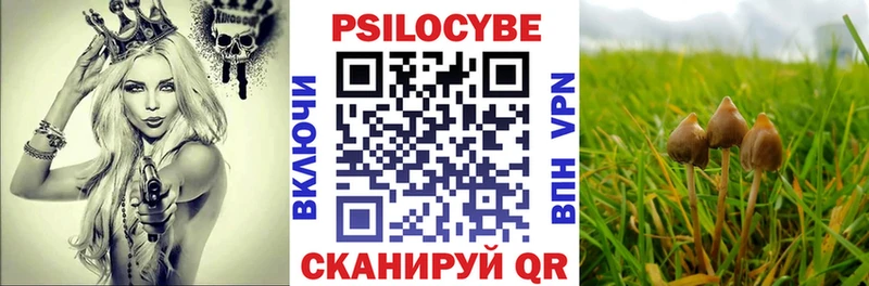 Псилоцибиновые грибы мухоморы  KRAKEN зеркало  Зубцов 